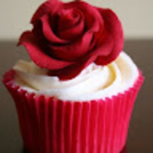 Meet your Posher, Meg